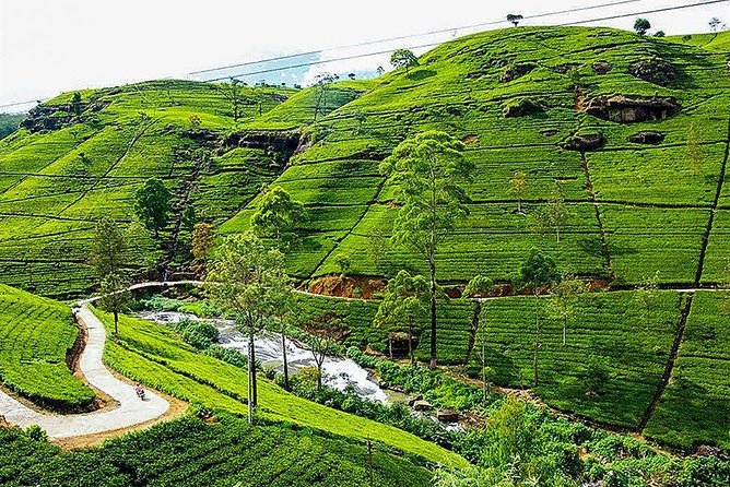 Day Tour to Nuwara Eliya from Kandy by Lux Tours Lanka - Why Nuwara Eliya feels unlike the rest of Sri Lanka