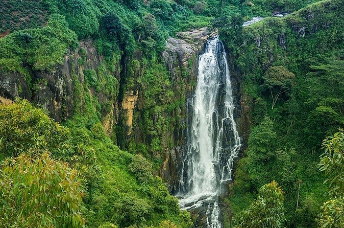 Day Tour to Nuwara Eliya from Kandy by Lux Tours Lanka - Victoria Park: manicured lawns in the town center
