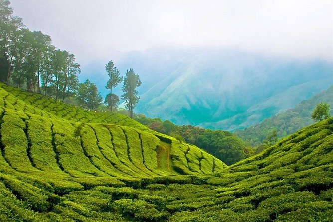 Day Tour to Nuwara Eliya from Kandy by Lux Tours Lanka - Hakgala Botanic Gardens: the stop that needs more time