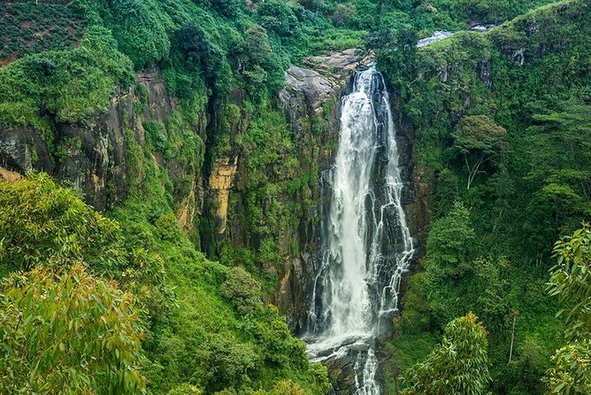 Day Tour to Nuwara Eliya from Kandy by Lux Tours Lanka - What the drivers add to the day