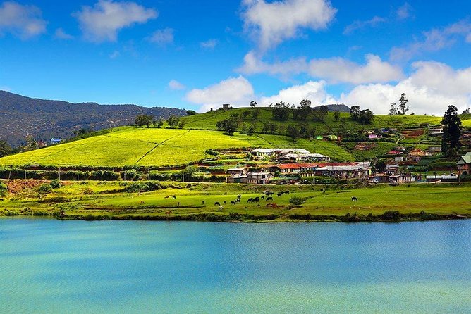Day Tour to Nuwara Eliya from Kandy by Lux Tours Lanka - Ramboda Waterfall: the most dramatic short stop