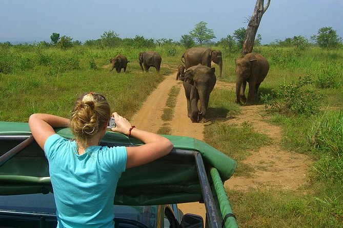 Day tour to Udawalawe from Colombo - Key points to know before booking