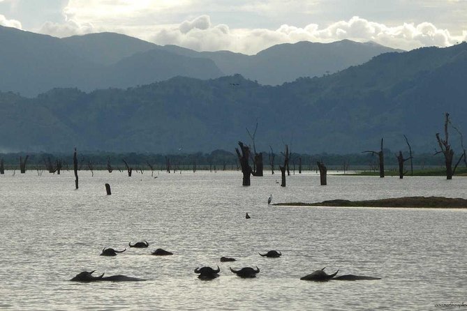 Day tour to Udawalawe from Colombo - Udawalawe Dam and its broad water views