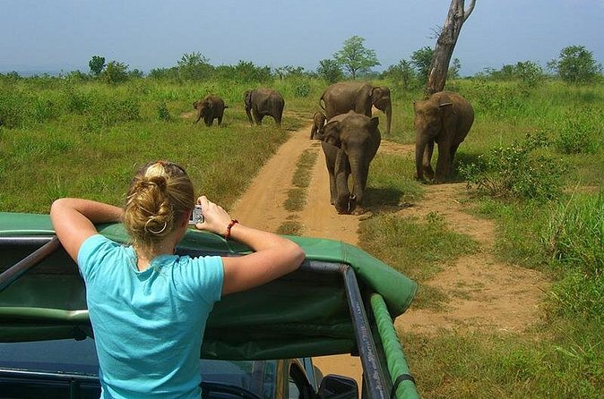 Day tour to Udawalawe from Colombo - Who will enjoy this full-day outing?