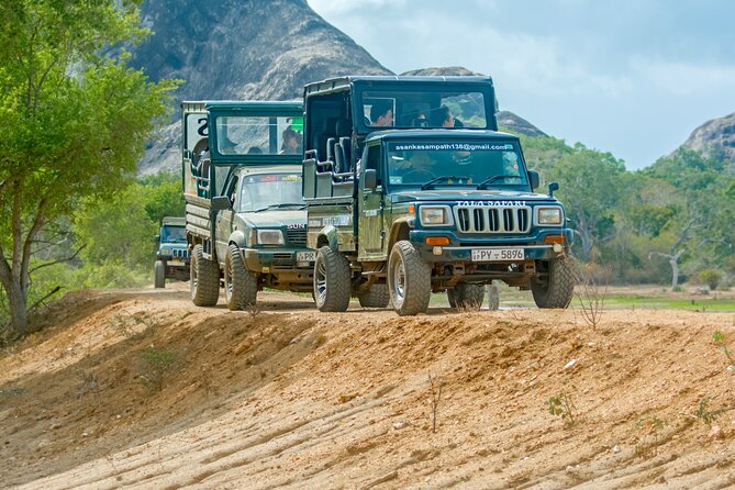 Day Tour to Wilpattu National Park from Colombo - Key points to know before booking