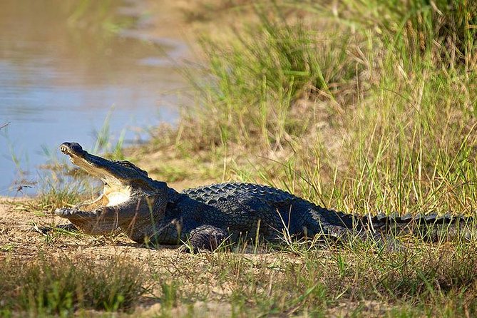 Day Tour to Wilpattu National Park from Colombo - Who Will Like This Wilpattu Safari?