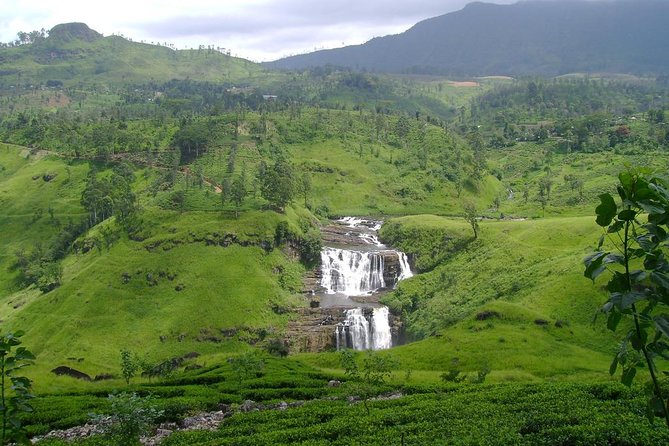 Day Trip to Nuwara Eliya with Kingfisher Tours - Gregory Lake: the relaxed hour in Nuwara Eliya
