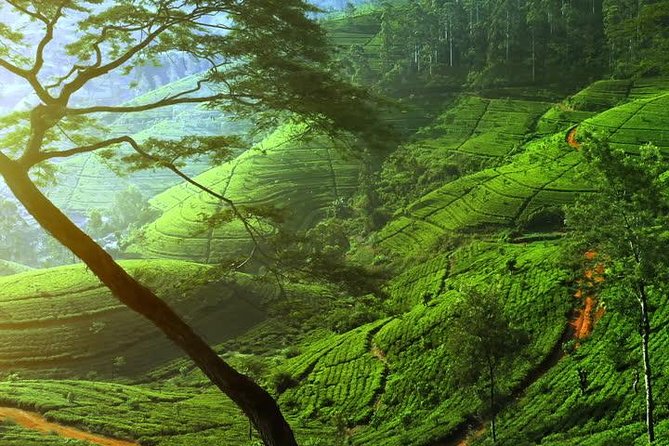 Day Trip to Nuwara Eliya with Kingfisher Tours - The first stop in Kandy: stones, stories, and a sales pitch