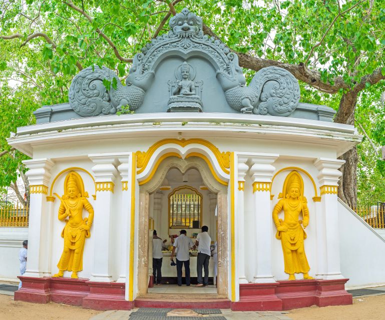 Day trip to UNESCO city Anuradhapura from Colombo - Abhayagiriya, Jetawanaramaya, and the great dagobas