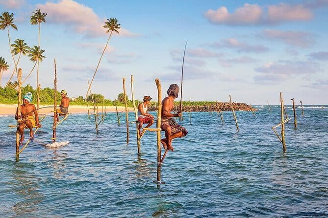 Day trips to Galle from colombo Visiting Its Highlights - Key Points Before You Book