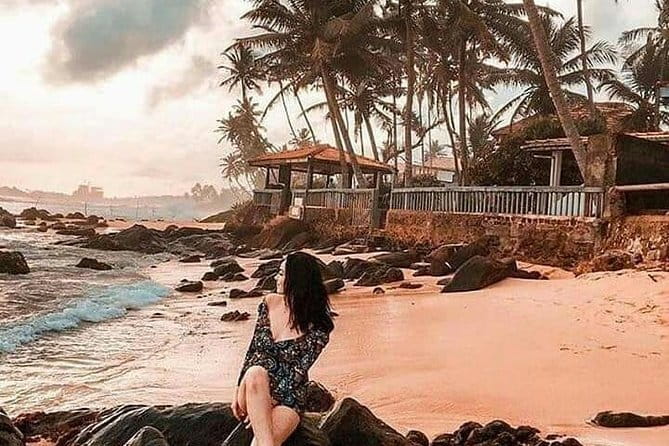 Day trips to Galle from colombo Visiting Its Highlights - Hikkaduwa Turtle Beach and the Conservation Question