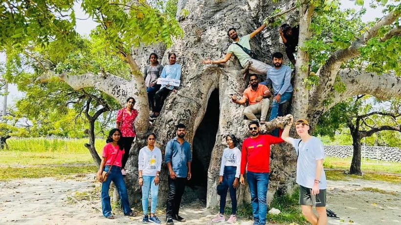 Delft and Nainativu Island Tour with Local Guide ( Jaffna ) - Coral walls, towers, and Delft’s colonial past
