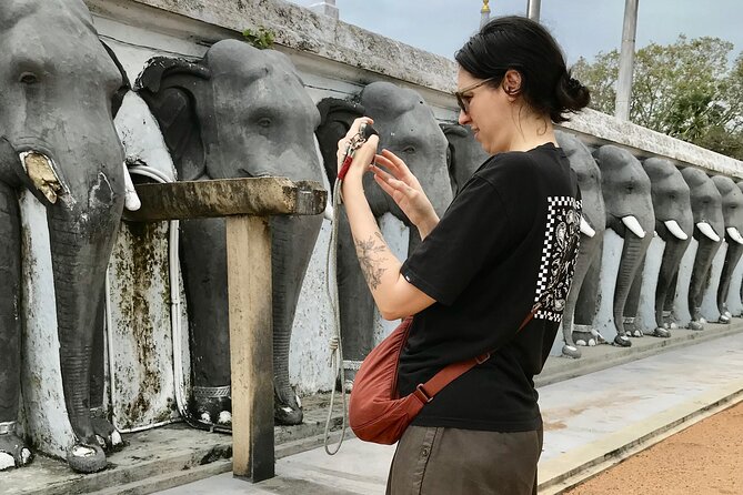 Delve Into Ancient Anuradhapura with Optional Visit to Mihintale - Why a private guide helps at Anuradhapura