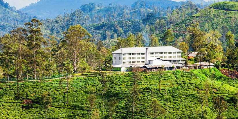 Discover Ella: All-Inclusive Day Tour to 7 Iconic Landmarks - Halpewatta Tea Factory and Ceylon Tea