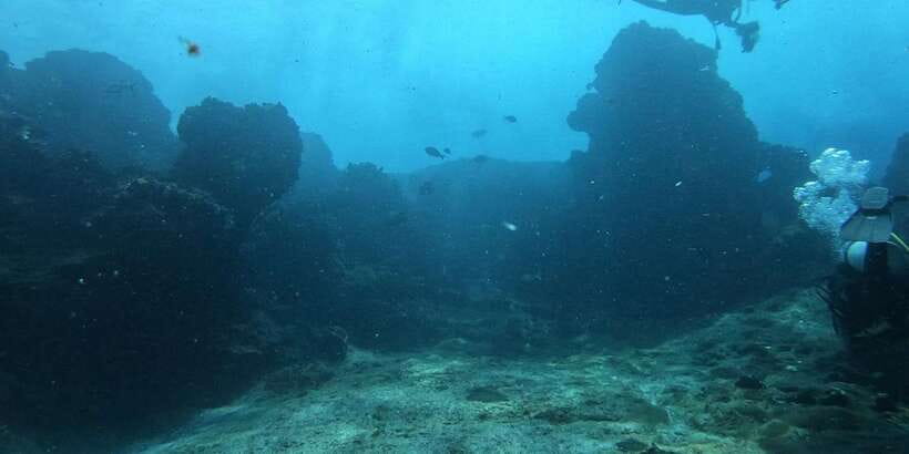 Discover Scuba Diving : Hikkaduwa : Scuba Diving - The First Thirty Minutes: Welcome, Registration, and Safety