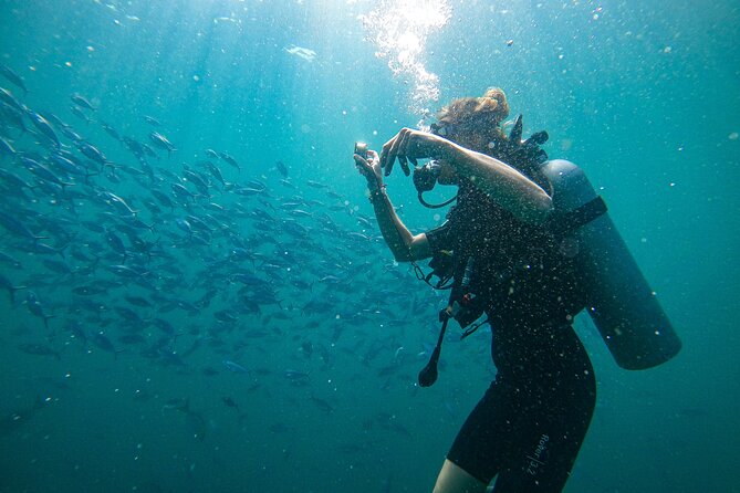 Discover SCUBA Diving in Beautiful Unawatuna Bay - Key points before you book