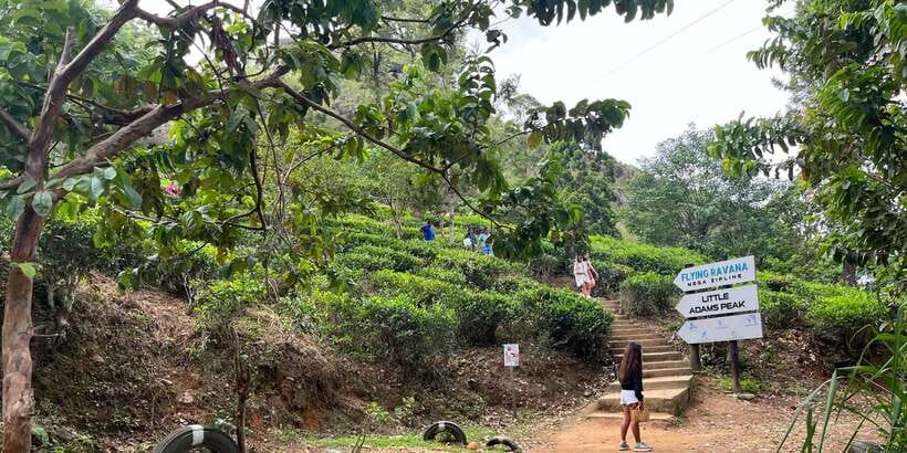 Discover the Best of Sri Lanka in 2 Days - Day one begins with Ravana Falls and Ella