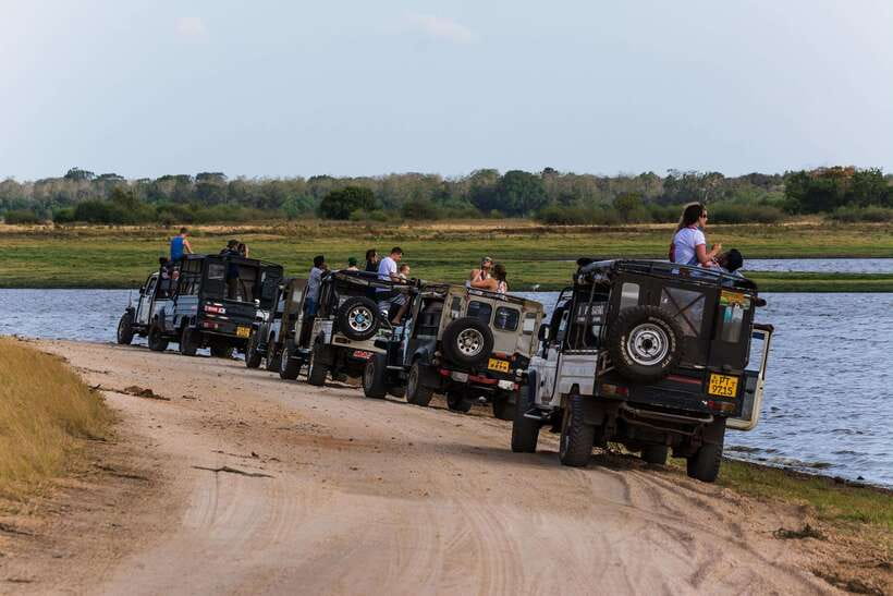 Elephant Jeep Safari at Minneriya National Park - Pickup From Sigiriya, Habarana, and Nearby Towns