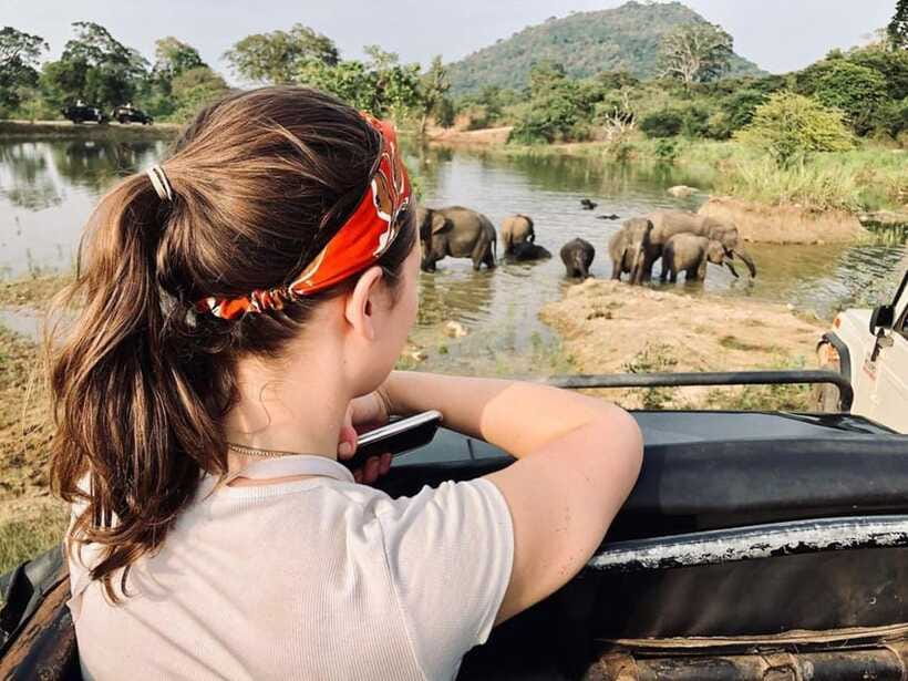 Elephant Kingdom Safari – Minneriya National Park - The value of a $22 safari
