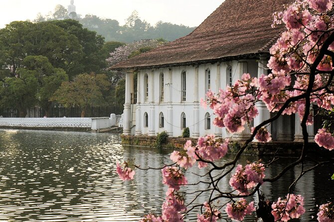 Ella and Yala National park Tour from Colombo - Is $500 per person good value?
