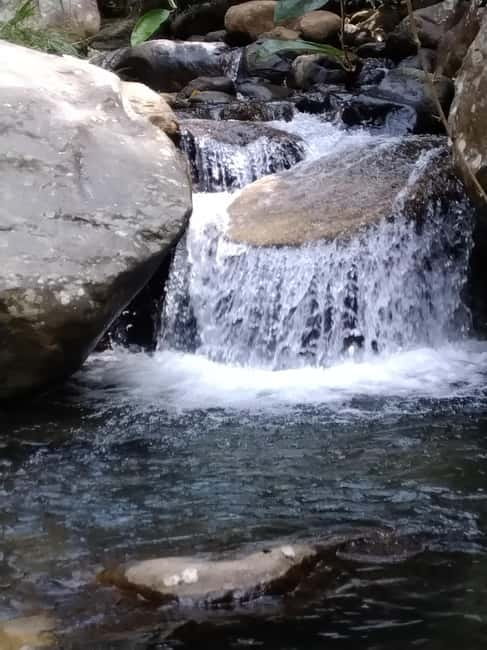 Ella: Cinnamon, Spice Garden & Waterfall tour - A brief look at traditional cinnamon making