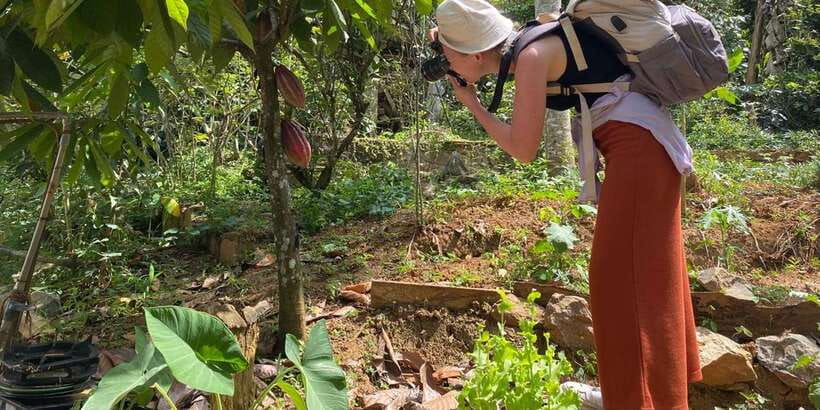 Ella : Cooking class with amazing Spice Garden Tour - Should you book Ella Spice Garden Cooking Class?