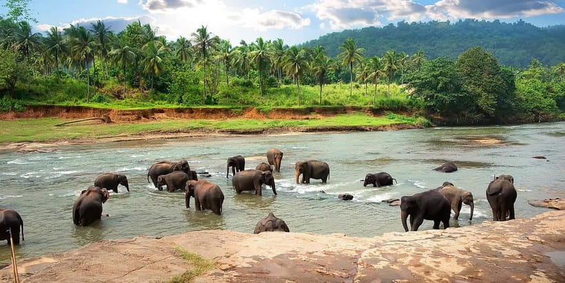Ella Day Tour - Departing from Any Location in Sri Lanka - Private transport makes the long route workable