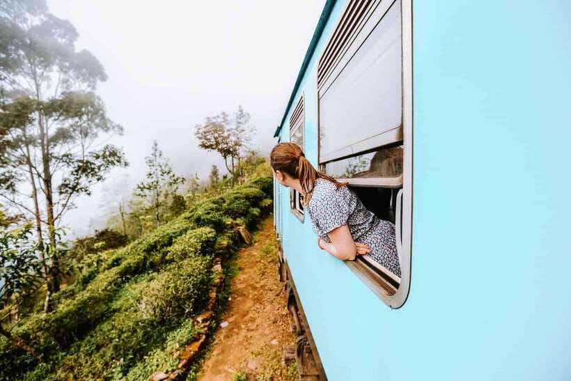 Ella Day Tour: with Tea Factory Visit from Colombo/Bentota - What this Ella day tour is really offering