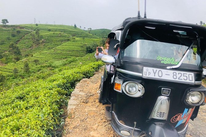 Ella Day Trip from Mirissa, Weligama, Galle, Hikkaduwa - Lipton’s Seat and tea country options