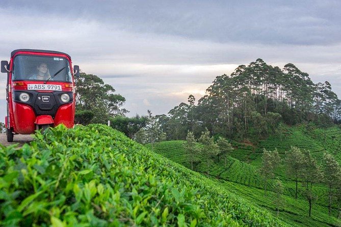 Ella Day Trip from Mirissa, Weligama, Galle, Hikkaduwa - Driver-guide service: the most important variable