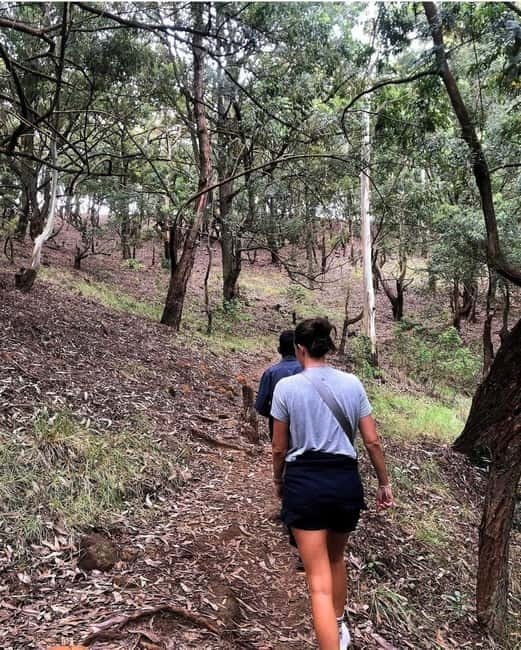 Ella: Ella Rock, 9 Arch, Little Adams Peak, & Waterfall Tour - Demodara Loop and the railway story