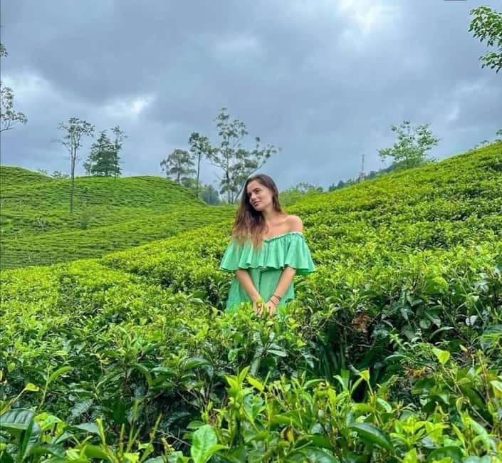 Ella: Ella Rock, 9 Arch, Little Adams Peak, & Waterfall Tour - Flying Ravana Mega Zipline