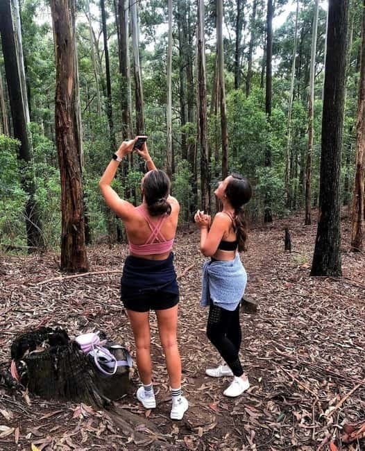 Ella: Ella Rock, 9 Arch, Little Adams Peak, & Waterfall Tour - Pickup from Ella or Bandarawela