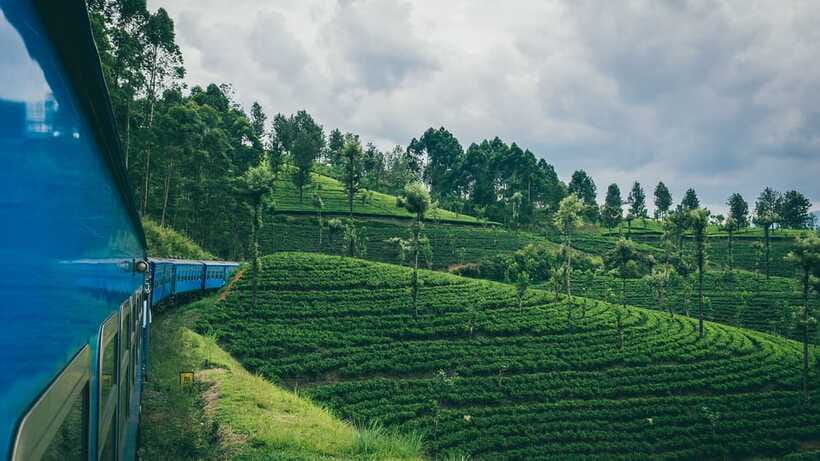 Ella: First Class Scenic Train Ticket To/From Nanuoya - What the current Ambewela arrangement means