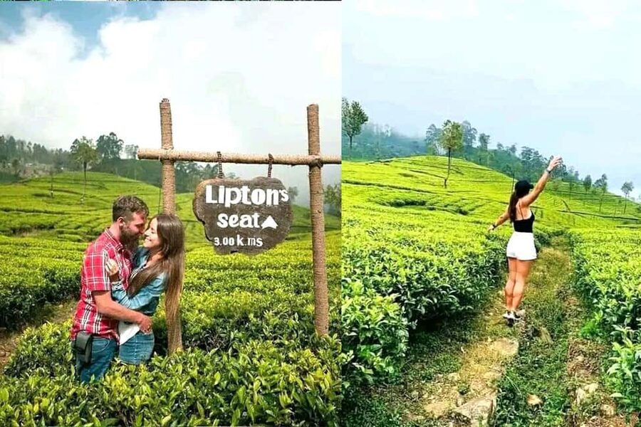 Ella Full-Day Endless Landmarks Life Time Experience - Tea fields and the Uva Halpewatte factory