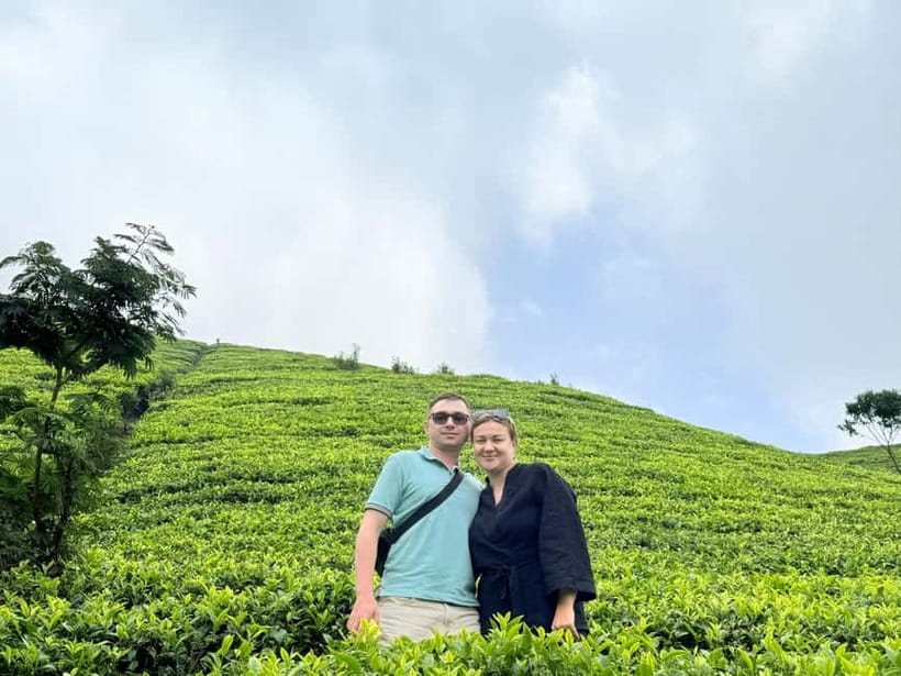 Ella Full-Day Tour from Mirissa/Ahangama/Hikkaduwa/Bentota - Lipton’s Seat and the tea-country views