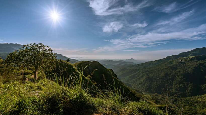 Ella: Guided Day Tour with Tea Estate Visit - Flying Ravana Mega Zipline: An Optional Thrill in the Schedule