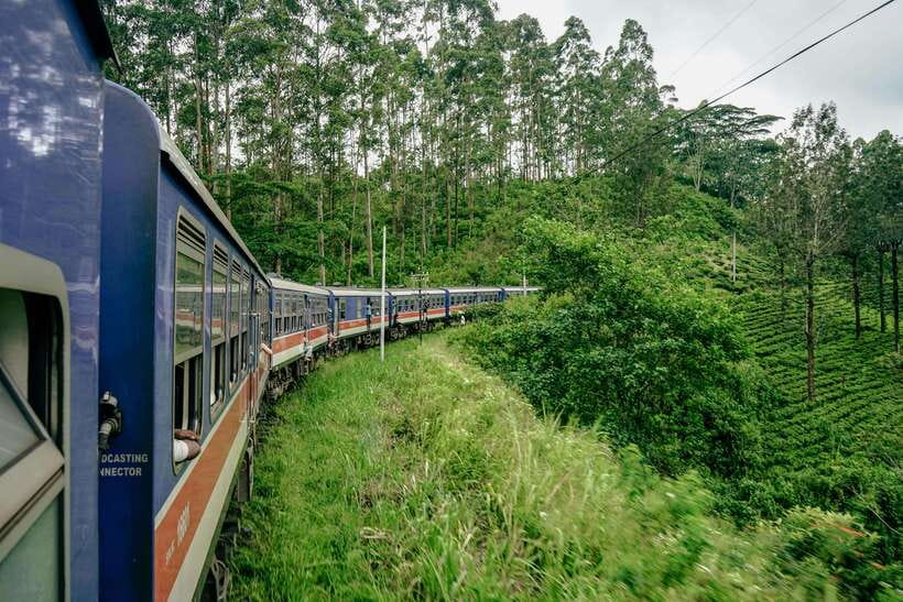 Ella: Guided Day Tour with Tea Estate Visit - What $130 Per Person Really Buys