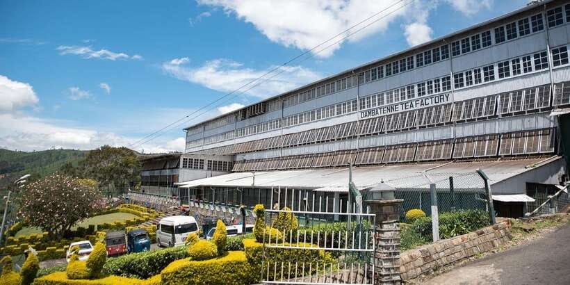 Ella: Lipton's Seat Tour with Dambetanna Tea Factory Visit - Lipton’s Seat: a viewpoint with a story