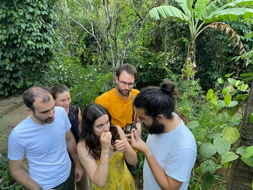 Ella: Nine Arch Spice Garden Tour with Traditional Lunch - Key points to know before booking