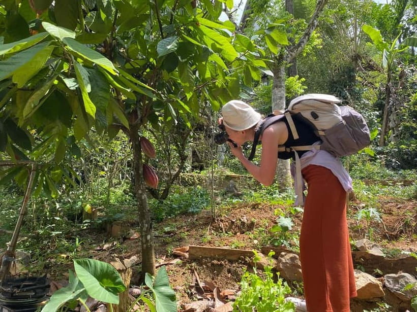 Ella: Nine Arch Spice Garden Tour with Traditional Lunch - Entering Ella’s 2.5-acre spice garden