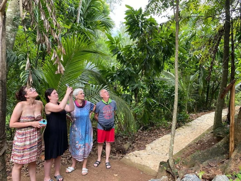 Ella: Nine Arch Spice Garden Tour with Traditional Lunch - Who will enjoy this Ella food experience?