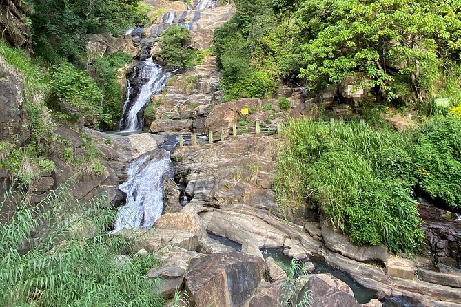 Ella Private Day Tour - Departing from Any Location in Sri Lanka - Food, transport, and the real cost