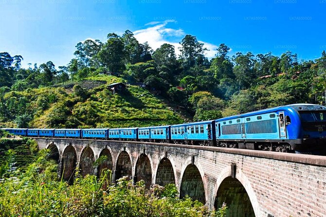A blue express crossing the Nine Arch Bridge above the tea slopes at Demodara