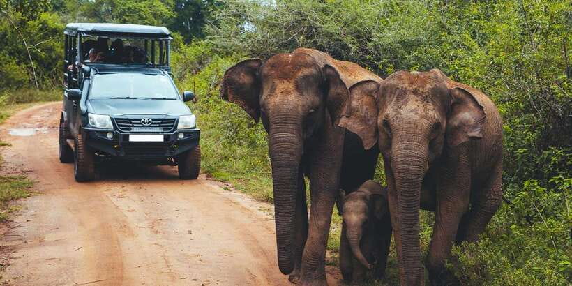 Ella: Shuttle to Tangalle/Mirissa/Galle & Udawalawa Safari - Breakfast, timing, and the coastal drop-off