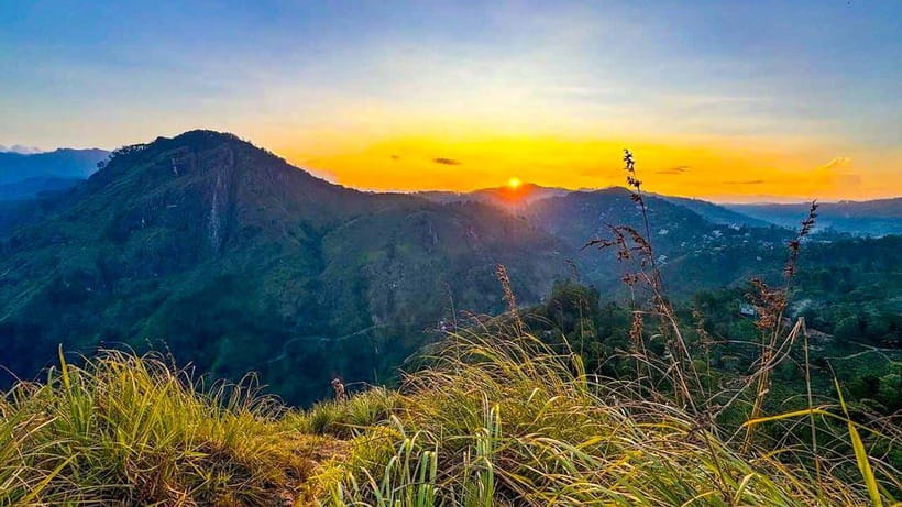 Ella: Sunset Tuk Tuk Tour with Little Adam's Peak Hike - The tuk tuk ride from Ella town