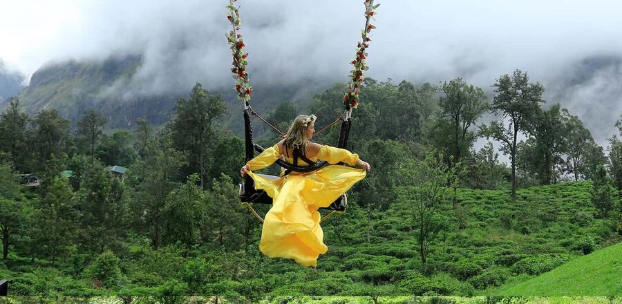 Ella Swing - Arriving Above Ella’s Tea Country