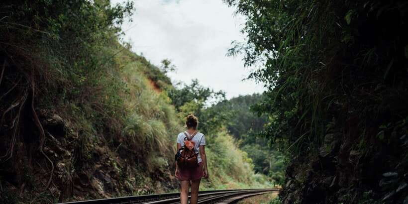 Ella: Tea Factory, Train, and Nine Arch Day Tour with Pickup - Key points to know before booking