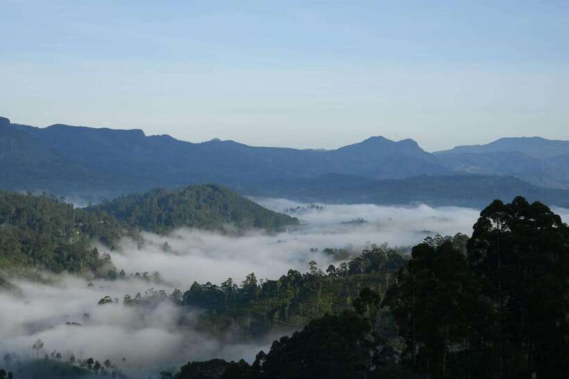 Ella: The Pekoe Trail Stage 16 - Ella to Demodara - Key Things to Know Before Walking