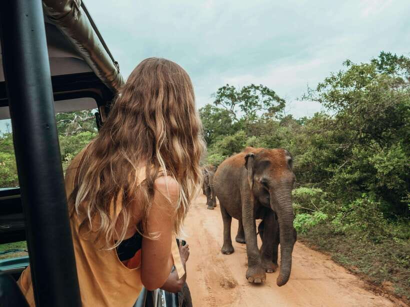 Ella: Transfer to Mirissa/Galle/Hikkaduwa & Udawalawe Safari - Why this Ella transfer makes sense